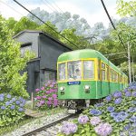 紫陽花の咲く中、裏通りを走る江ノ島電鉄は湘南や鎌倉を象徴する電車