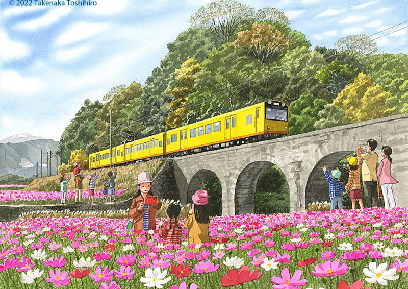 コスモス咲く中を黄色い三岐鉄道の列車が通り過ぎていく