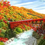 遥か下に渓流が流れ紅葉が鮮やかな黒部渓谷の赤い鉄橋ををトロッコ列車が走る