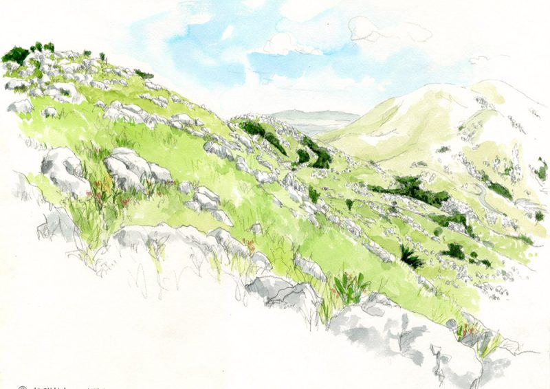 スケッチ/福岡・平尾台|平尾台のカルスト台地の石灰岩が広がる羊群原