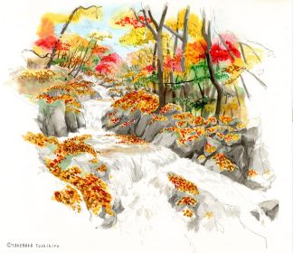 スケッチ／熊本・菊池渓谷｜紅葉が散り染める菊池渓谷の渓流