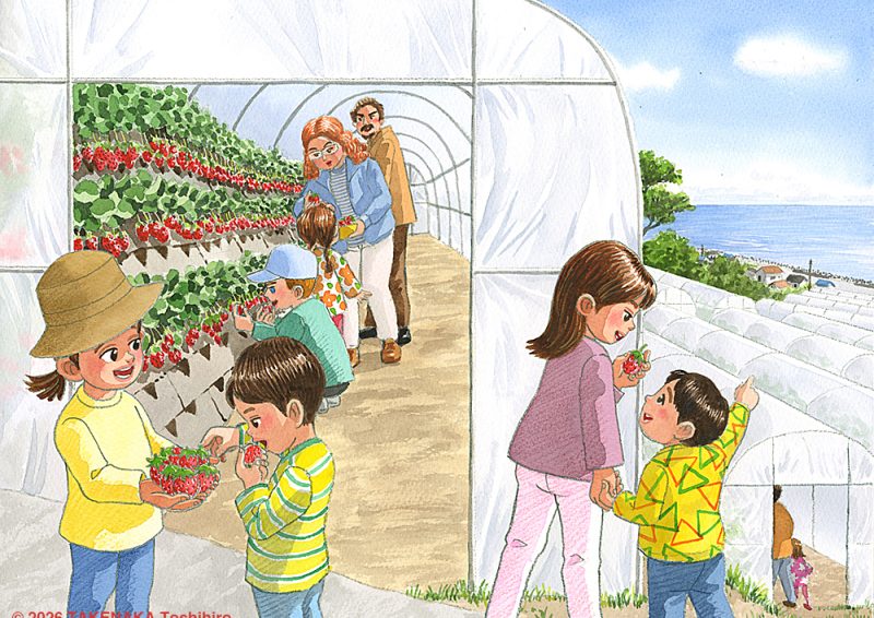 もち吉カレンダー2026｜久能山いちご海岸ストリート