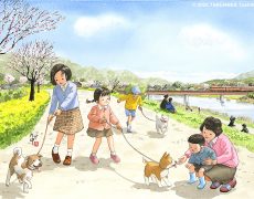 日本の春｜桜が綻ぶ頃に河原の土手で犬を連れて散歩